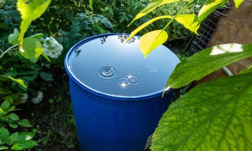 Von der Zisterne zum Garten: Wie du mit einer Pumpe deinen grünen Daumen verfeinerst