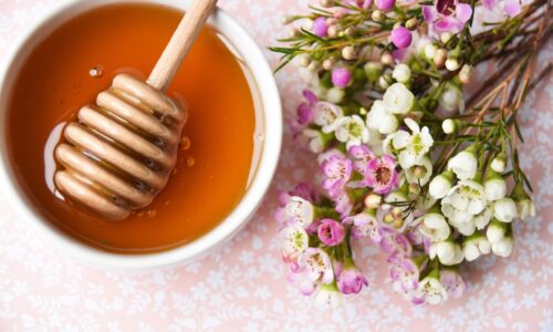 Das Naturgeheimnis, das Wunden schneller heilen lässt